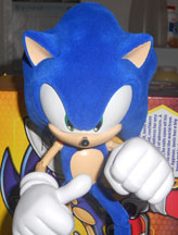 Fuzzy Sonic Posed