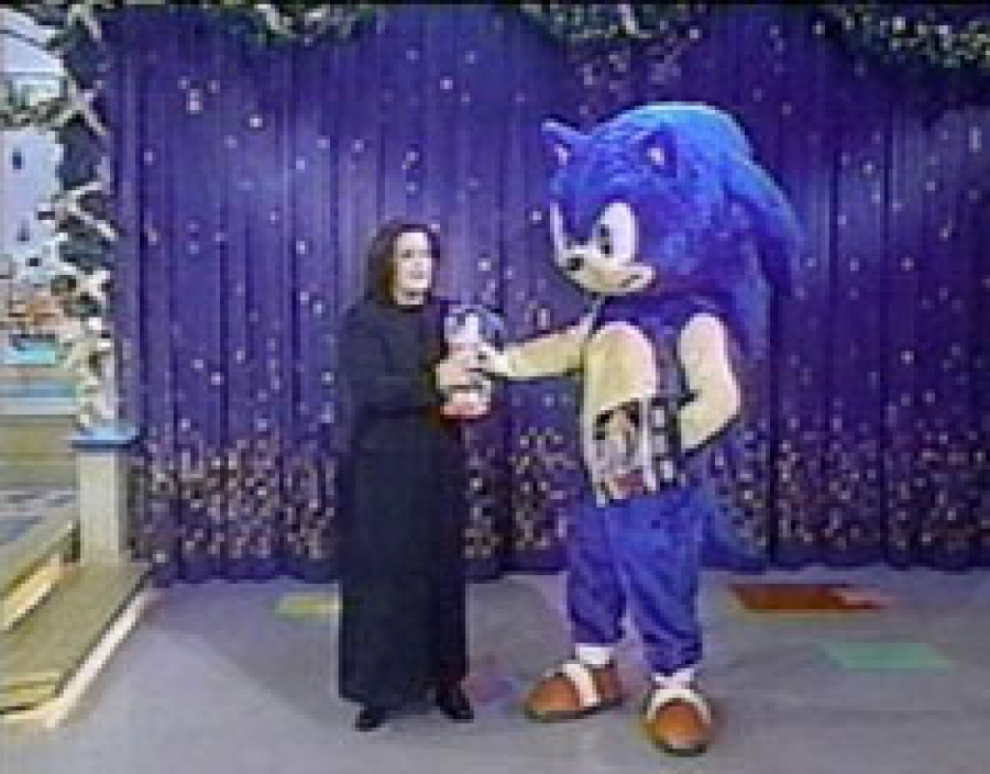 Rosie O'Donnel Sonic Costume