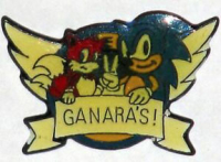 Granara's! Sonic Pin