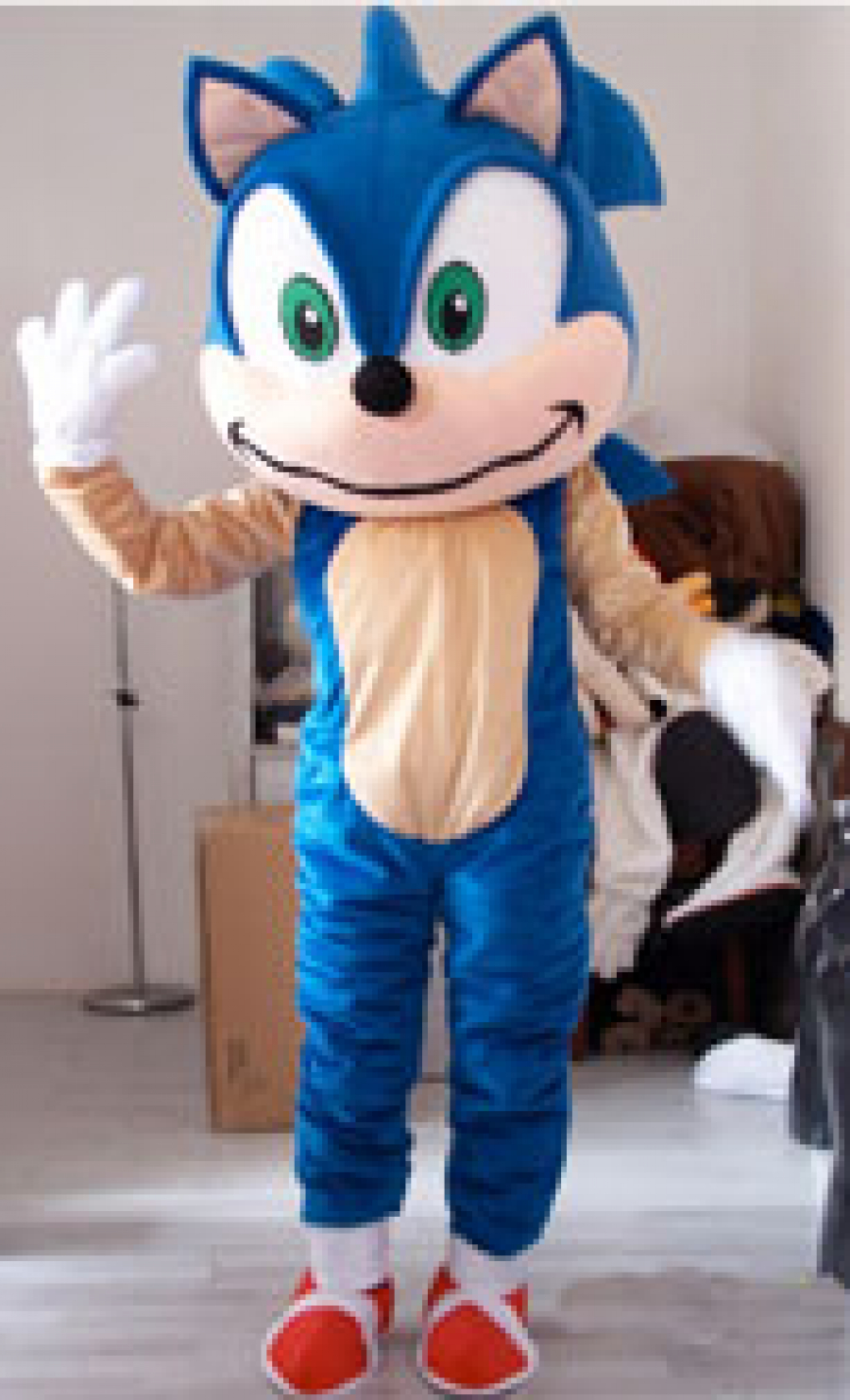 Mystery Sonic Costume