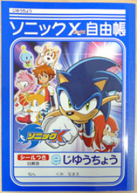 Sonic X Book